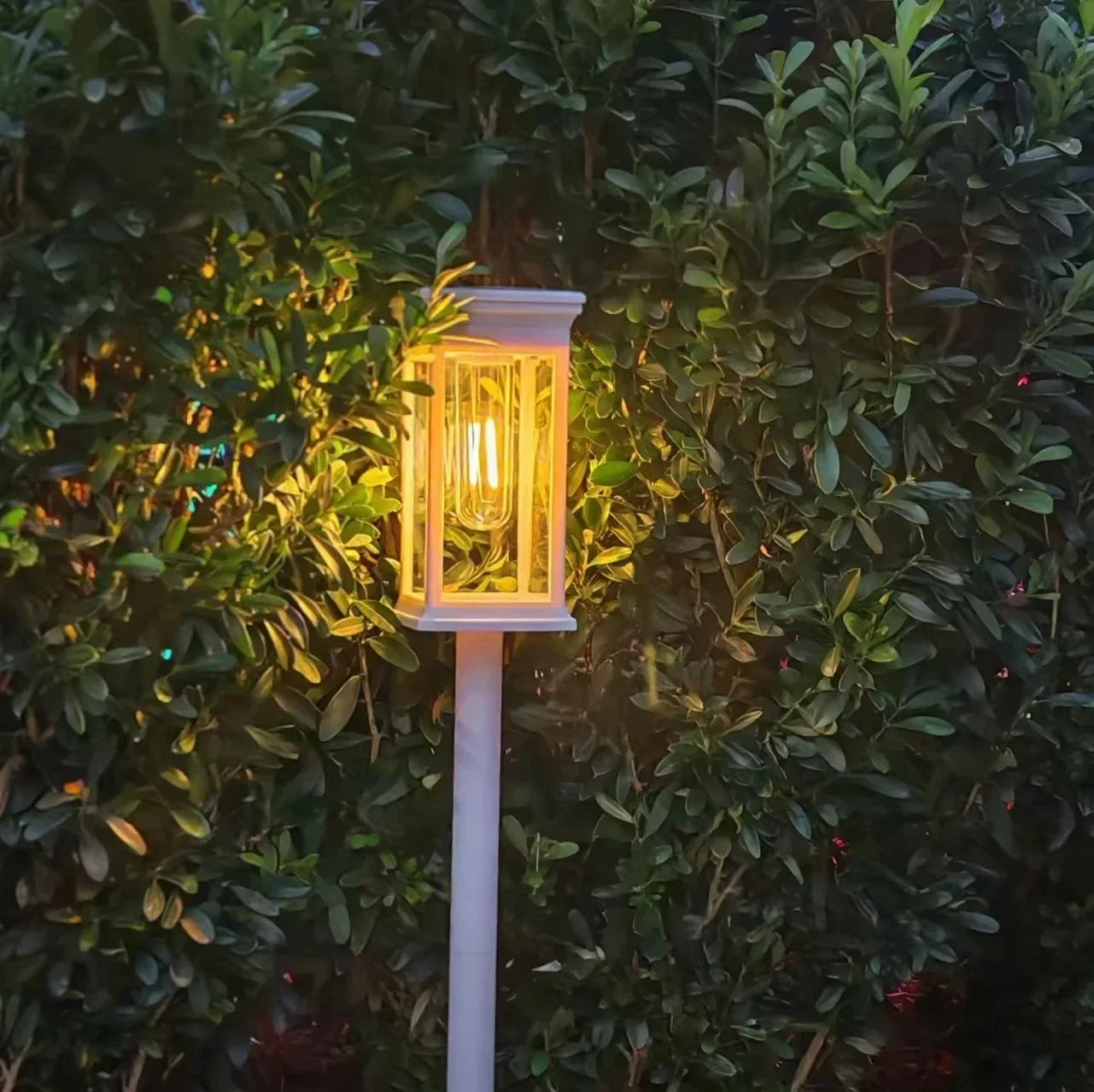 Vashti Pathway Lights