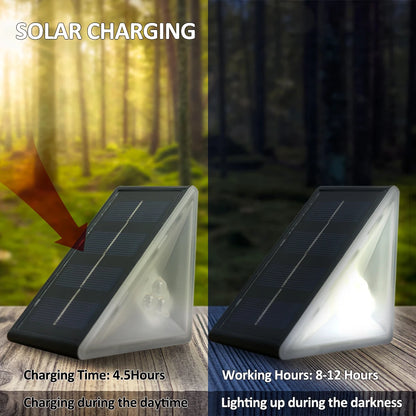 Solar Step Lights
